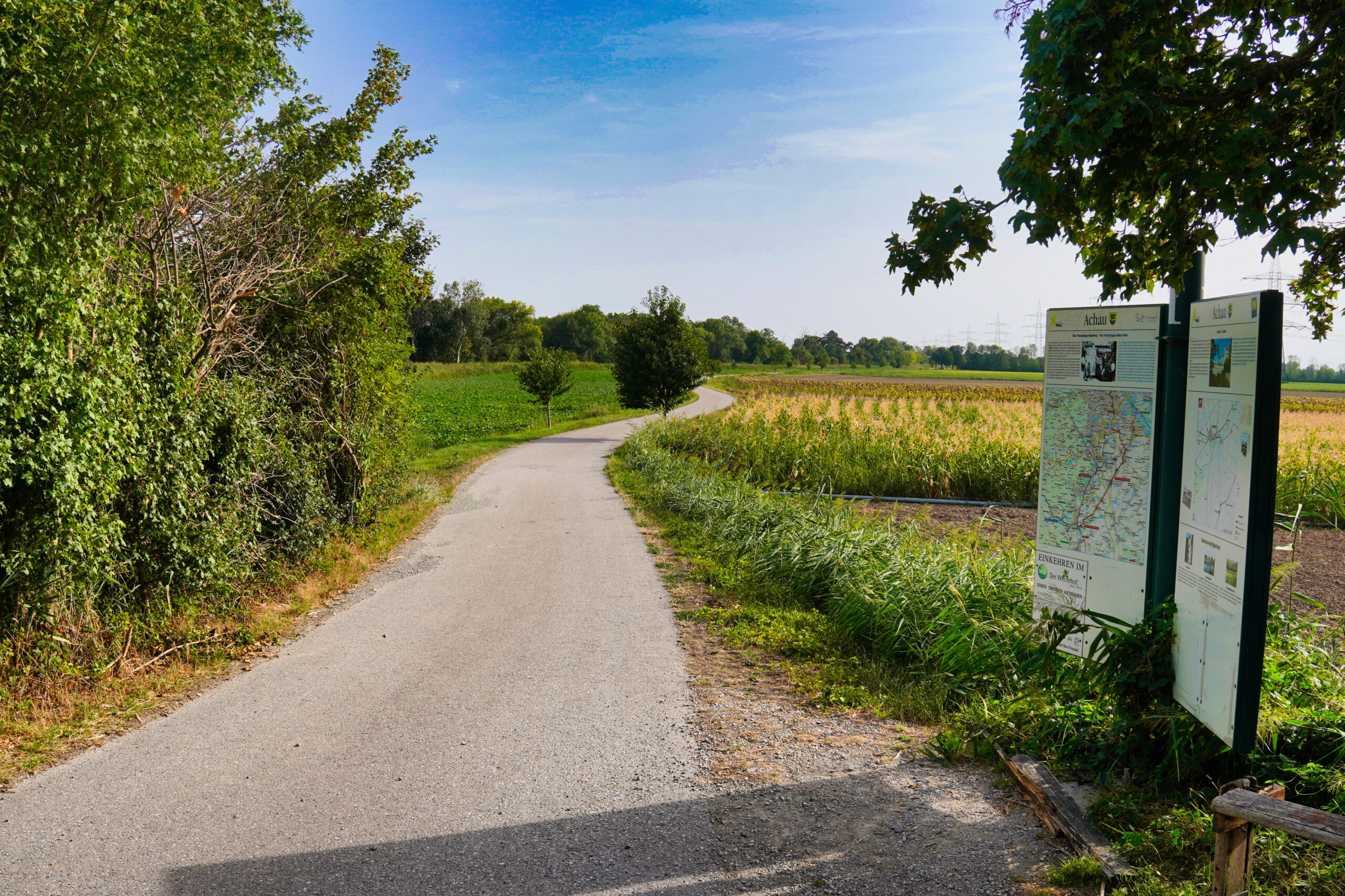 Radweg nach Münchendorf
