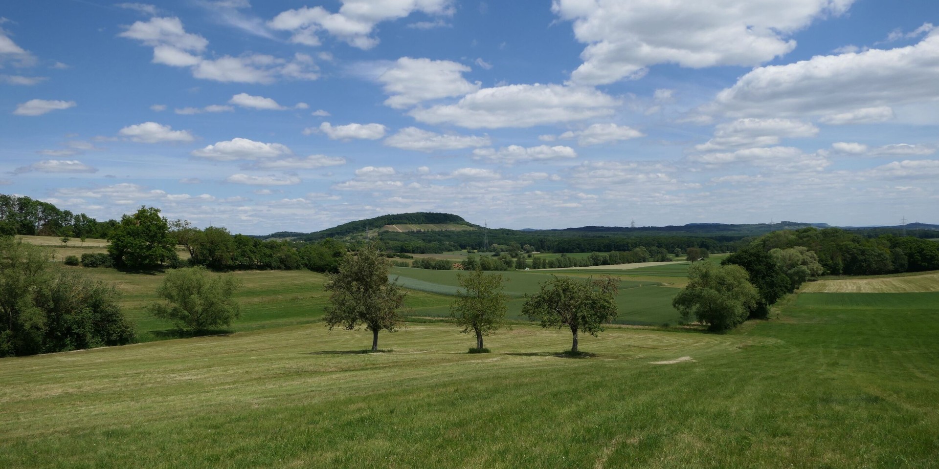 Sommerliche Hügellandschaft mit Bäumen und Feldern unter blauem Himmel mit Wolken
